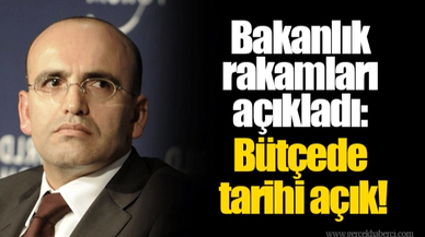 Bakanlık rakamları açıkladı: Bütçede tarihi açık!