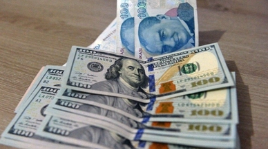 Dolar/TL'de yeni rekor seviye