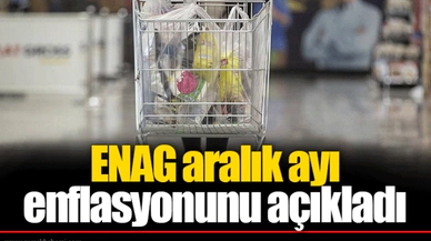 ENAG aralık ayı enflasyonunu açıkladı