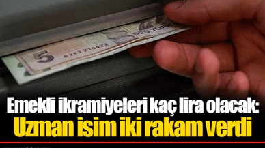 Emekli ikramiyeleri kaç lira olacak: Uzman isim iki rakam verdi