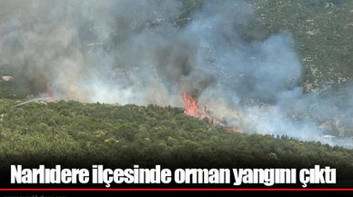Narlıdere ilçesinde orman yangını çıktı