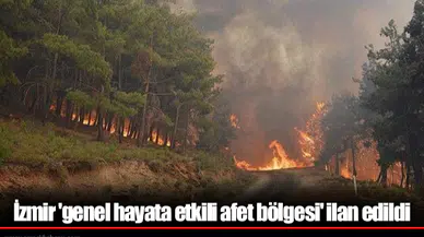 İzmir 'genel hayata etkili afet bölgesi' ilan edildi
