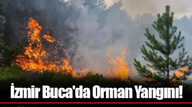 İzmir Buca'da Orman Yangını!