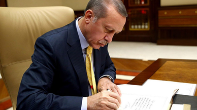 Erdoğan, FETÖ'den 'ağırlaştırılmış müebbet' alan kişinin cezasını kaldırdı: Adli Tıp Kurumu raporu gerekçe gösterildi