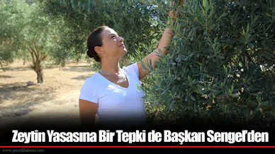 Zeytin Yasasına Bir Tepki de Başkan Sengel’den