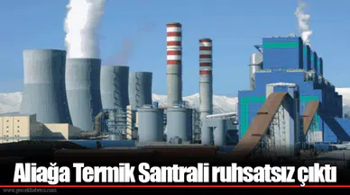 Aliağa Termik Santrali ruhsatsız çıktı