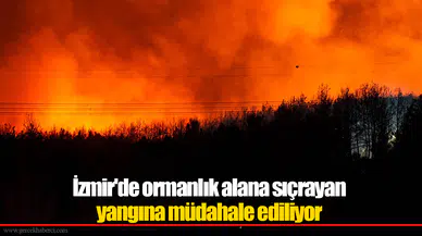 İzmir'de ormanlık alana sıçrayan yangına müdahale ediliyor