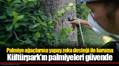 Palmiye ağaçlarına yapay zeka desteği ile koruma  Kültürpark’ın palmiyeleri güvende