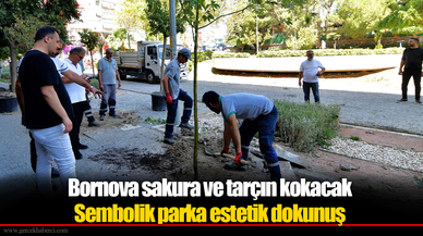 Bornova sakura ve tarçın kokacak