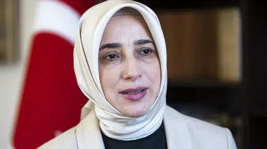 Aşdod Limanı'na 3 milletvekili için uçak gönderildi
