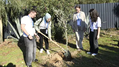 Kuşadası'nda zeytin ağaçları 'Barış ve Kardeşlik' için dikildi