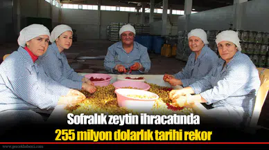 Sofralık zeytin ihracatında 255 milyon dolarlık tarihi rekor