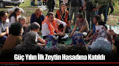 Çağatay Güç: CHP iktidarımızda zeytincilik hak ettiği değeri görecek