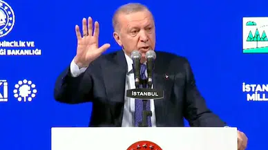 Cumhurbaşkanı Erdoğan, Gürcistan Başbakanı Kobakhidze ile telefonda görüştü