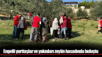 Engelli yurttaşlar ve yakınları zeytin hasadında buluştu