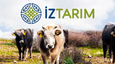 İZTARIM'da Sayıştay Raporu Lüks Harcamaları ve Kayıp Cihazları Ortaya Çıkardı