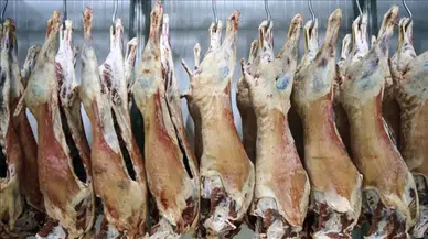 Hastalıklı et piyasaya sürülmüş: Kamu görevlileri dahil 30 kişi gözaltında