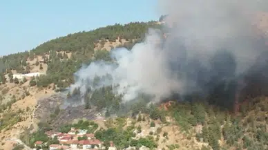 Orman Yangınlarıyla Mücadelede Hava ve Kara Filosu Güçlendirildi