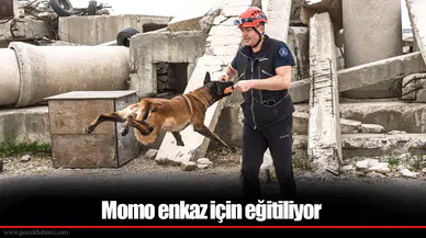 Momo enkaz için eğitiliyor