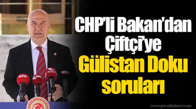 CHP’li Bakan’dan Çiftçi’ye Gülistan Doku soruları