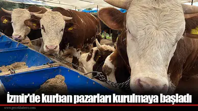 İzmir'de kurban pazarları kurulmaya başladı
