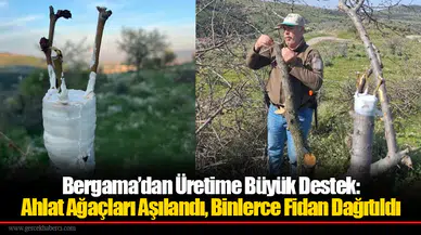 Bergama’dan Üretime Büyük Destek: Ahlat Ağaçları Aşılandı, Binlerce Fidan Dağıtıldı