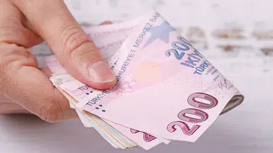 Tarım Destekleri Çiftçilerin Hesaplarında: 350,9 Milyon TL Aktarıldı