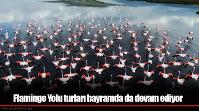 Flamingo Yolu turları bayramda da devam ediyor