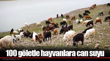 100 göletle hayvanlara can suyu