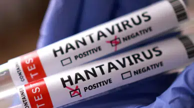 Yolcu Gemisinde Can Alan Hantavirüs: DSÖ Küresel Riski Düşük Değerlendiriyor