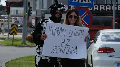 D-100'de inek kılığına girdi, sürücüleri o pankartla uyardı