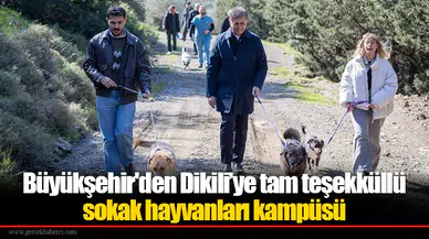 Büyükşehir'den Dikili’ye tam teşekküllü sokak hayvanları kampüsü
