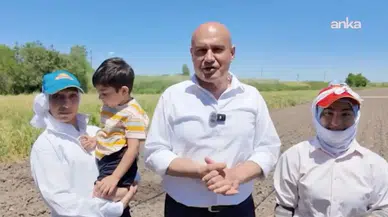 Tarladaki 'köle pazarı' düzeni: Yevmiyenin 250 lirası o isme gidiyor