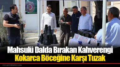 Mahsulü Dalda Bırakan Kahverengi Kokarca Böceğine Karşı Tuzak