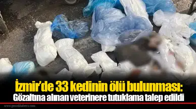 İzmir’de 33 kedinin ölü bulunması: Gözaltına alınan veterinere tutuklama talep edildi