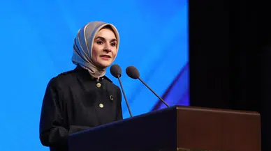 Bakan Göktaş Meclis kürsüsünden duyurdu: O sayı 82 bin 880'e ulaştı