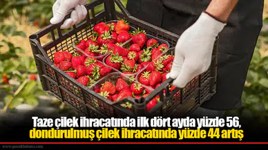 Taze çilek ihracatında ilk dört ayda yüzde 56, dondurulmuş çilek ihracatında yüzde 44 artış