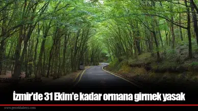 İzmir'de 31 Ekim'e kadar ormana girmek yasak