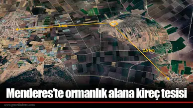 Menderes’te ormanlık alana kireç tesisi
