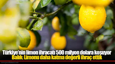 Türkiye’nin limon ihracatı 500 milyon dolara koşuyor