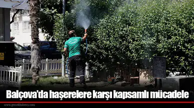 Balçova'da haşerelere karşı kapsamlı mücadele