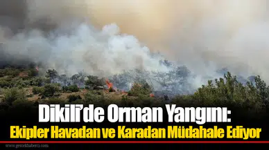 Dikili’de Orman Yangını: Ekipler Havadan ve Karadan Müdahale Ediyor