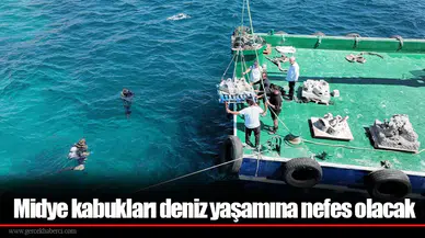 Midye kabukları deniz yaşamına nefes olacak