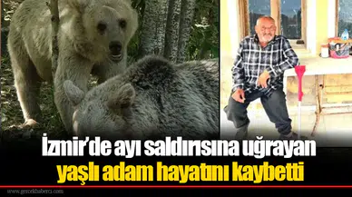 İzmir’de ayı saldırısına uğrayan yaşlı adam hayatını kaybetti
