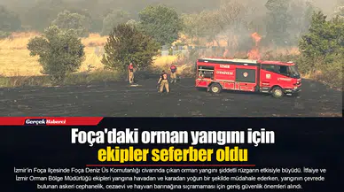 Foça'daki orman yangını için ekipler seferber oldu