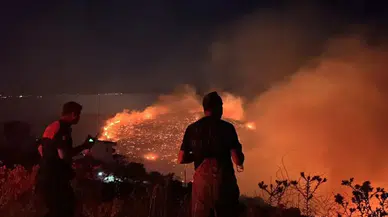 Yanan orman alanı 6 yılda 7 kat arttı: "Devlet eliyle işgal ediliyor"