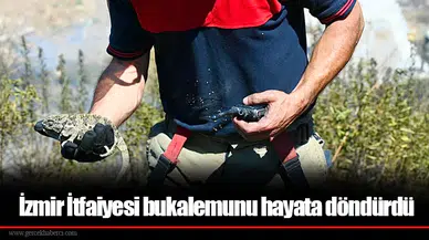 İzmir İtfaiyesi bukalemunu hayata döndürdü