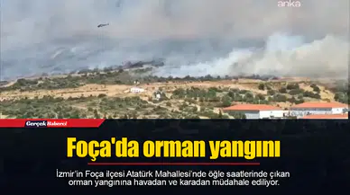 Foça'da orman yangını