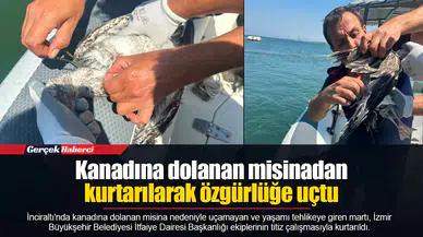 Kanadına dolanan misinadan kurtarılarak özgürlüğe uçtu