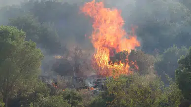 Antalya'da İki İlçedeki Orman Yangınları 1,5 Saatte Kontrol Altına Alındı